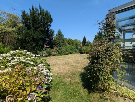 Blick in den Garten